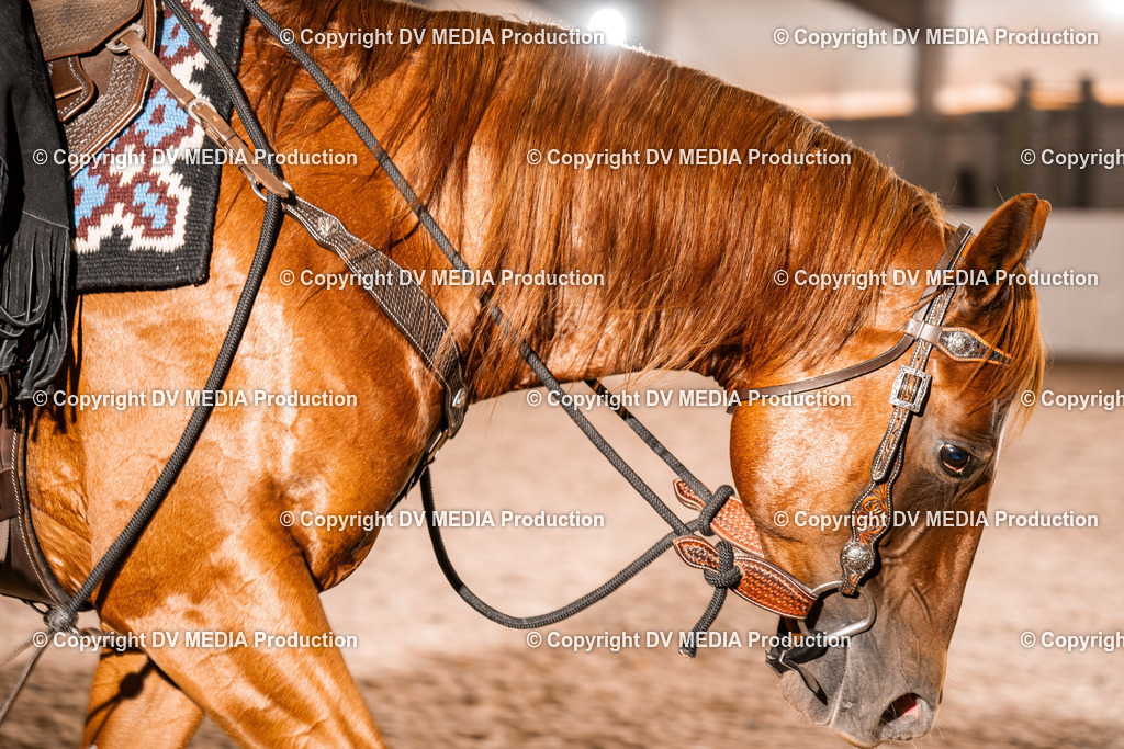 ZH100525 | dv-media-shop - Realisiert mit Pictrs.com