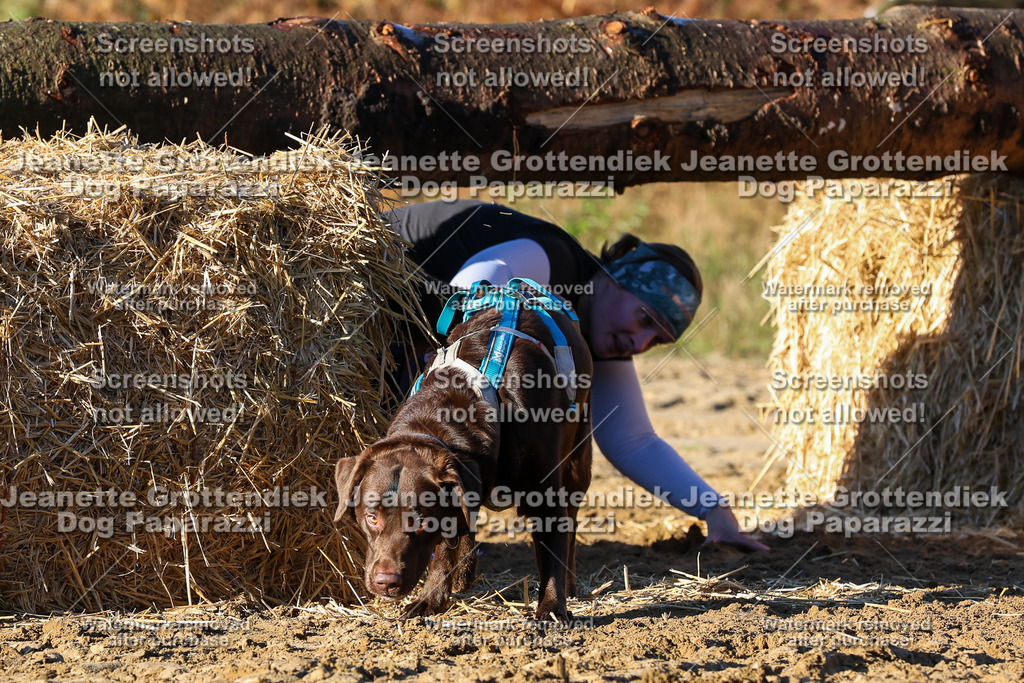 Dog Paparazzi - Strongdog 10-25-1130 | Dog Paparazzi Jeanette Grottendiek Fotografie & Videografie - Realisiert mit Pictrs.com