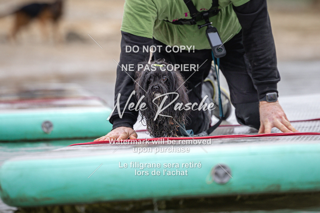 nelerasche_Hulsbeek_Sa1030-1100_437 | nelerasche