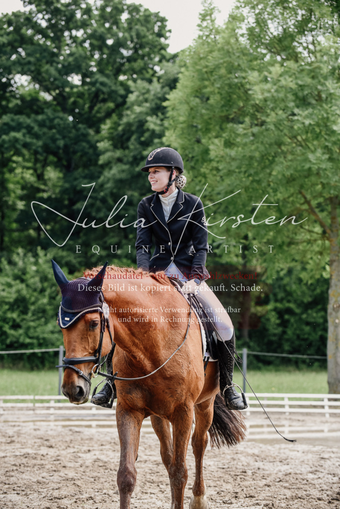 DSC_1617 | Pferde- und Turnierfotografie in Westsachsen. Pferdeportraits, Auftragszeichnungen und intuitive Kunst.