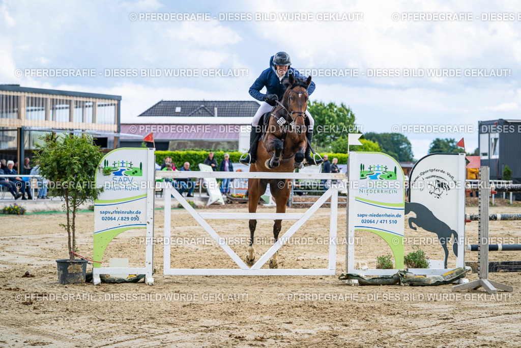 DSC05869 | Pferdegrafie