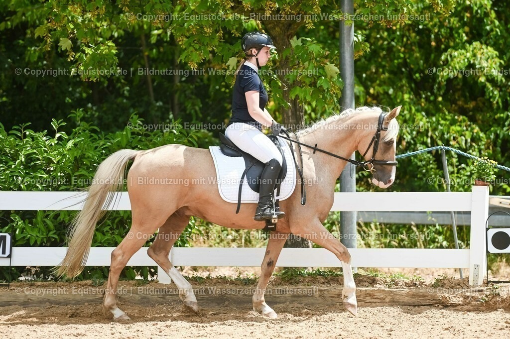 20230715_09_Dressur-WB_0511 | equistock