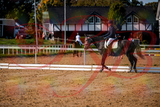 2026_10_03_Siefer-Hof_120052_Z63_32465502 | Professionelle Reitsport-, Turnier- und Eventfotografie von Robert Broda. Galerien mit ausgewählten und bearbeiteten Bildern direkt online ansehen und bestellen.