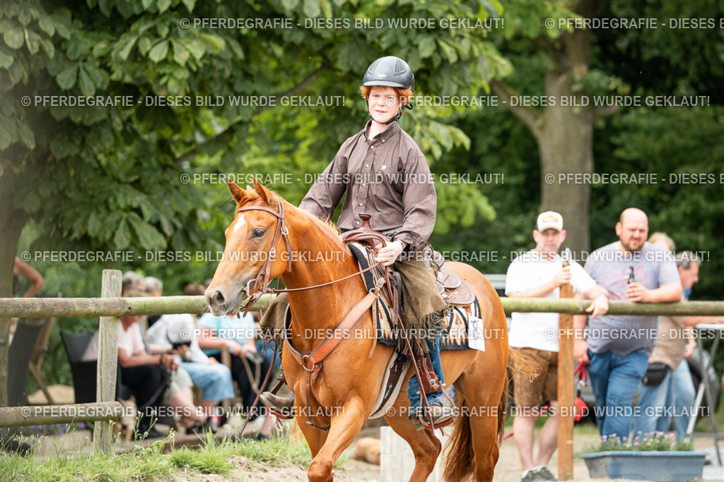 DSC01365 | Pferdegrafie