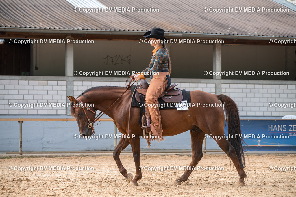 EWP_5695 | dv-media-shop - Realisiert mit Pictrs.com