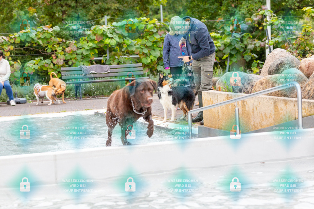 _HP_7387_1000o | HetPix, HetPix Fotodesign, Fotografie, Fotodesign, Webshop, Sportfotografie, Portraitfotografie, Onlineshop, Sportfotografie, Polch, Motorsportfotografie, Eventfotografie