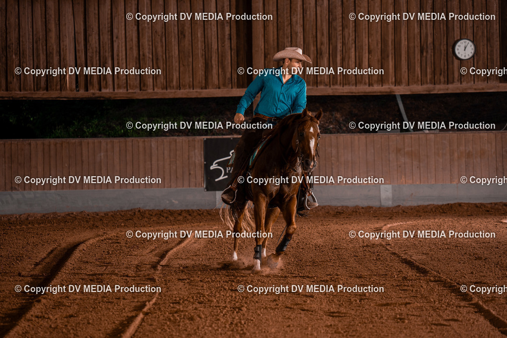 NE201539 | dv-media-shop - Realisiert mit Pictrs.com