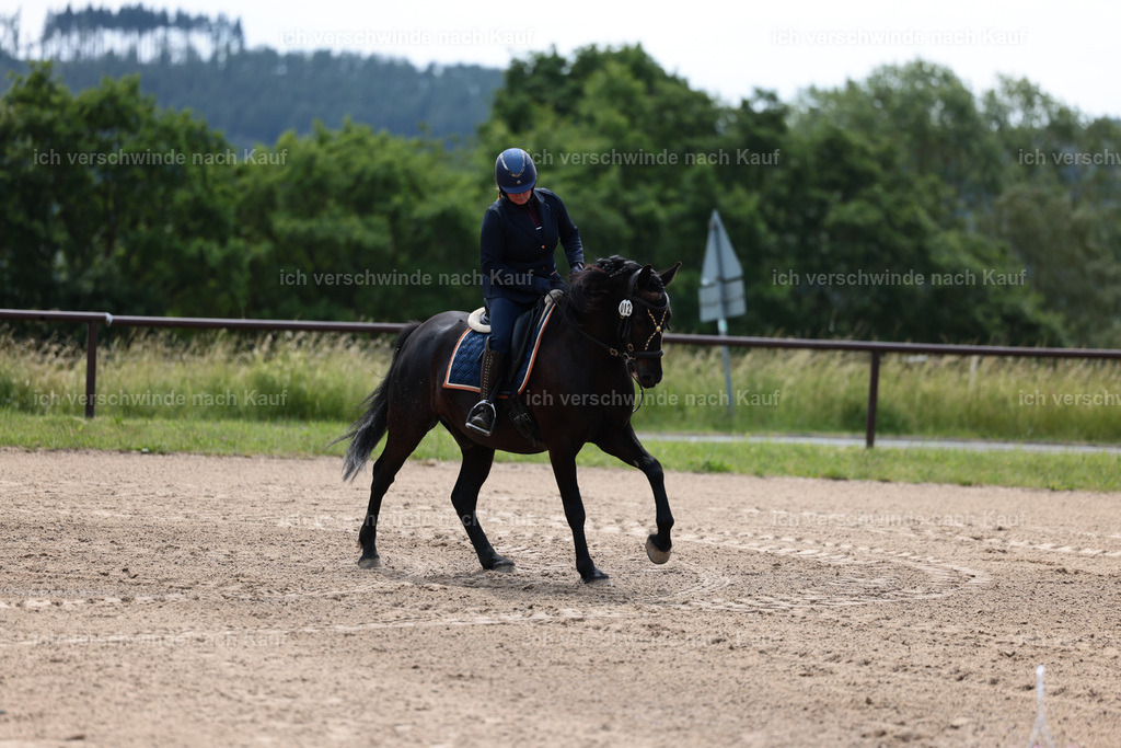 KlasseA_Stoibphotography_C2_L5360.JPG | working equitationturnier fotograf videograf stoibphotography marixx film working equitation deutschland reitsport turnierfotografie eventfotografie equestrian events