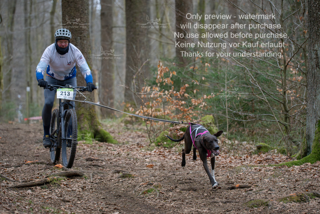 Bike_So-59 | stephaniefillaphotographie - Realisiert mit Pictrs.com