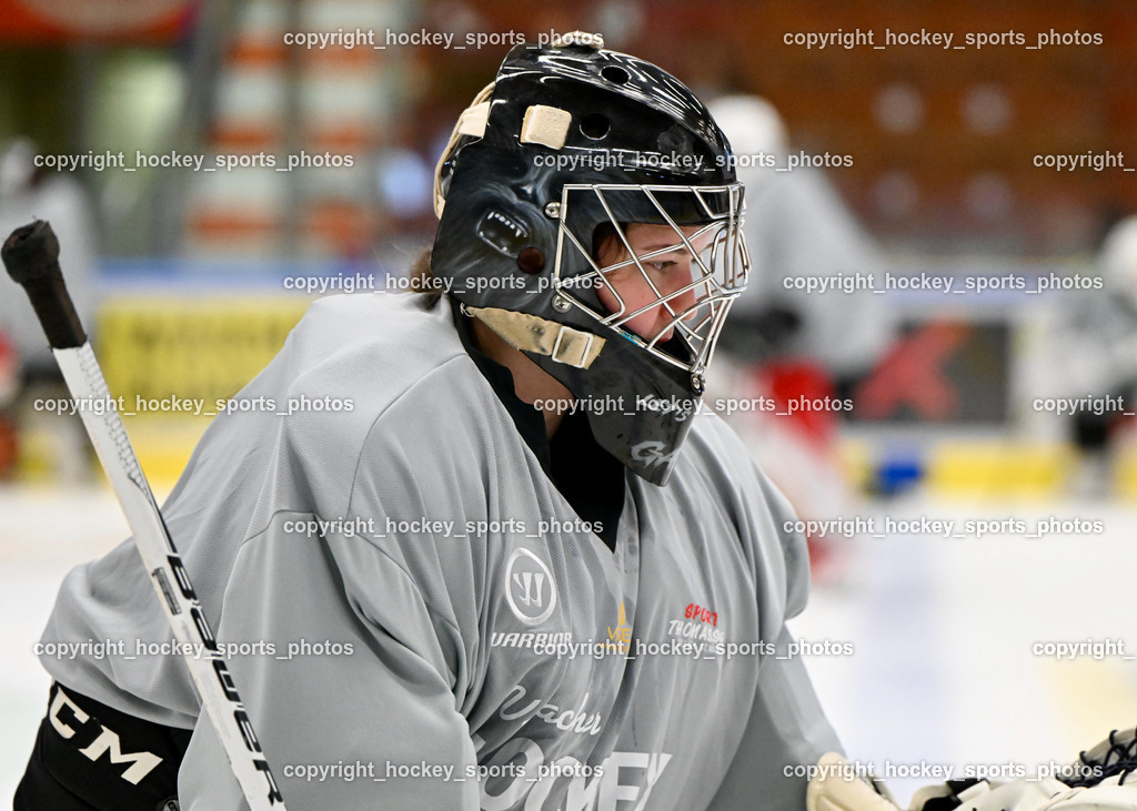 Z9B_9858 | hockey sports photos, Pressefotos, Sportfotos, hockey247, win 2day icehockeyleague, Handball Austria, Floorball Austria, ÖVV, Kärntner Eishockeyverband, KEHV, KFV, Kärntner Fussballverband, Österreichischer Volleyballverband, Alps Hockey League, ÖFB, 