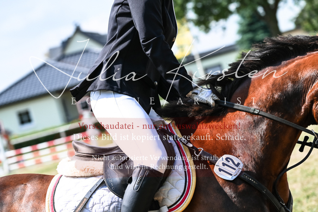 DSC_8658 | Pferde- und Turnierfotografie in Westsachsen. Pferdeportraits, Auftragszeichnungen und intuitive Kunst.