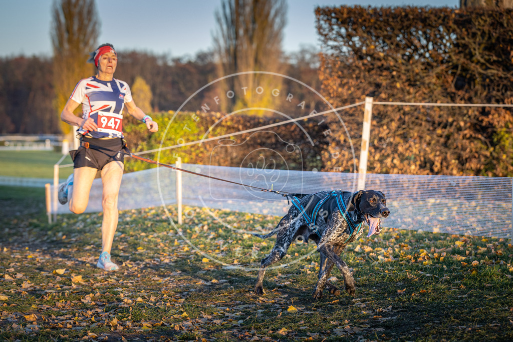 CaniXpix_DV3A5526 | Hundefotografie, Tierfotograf, Pfotenfotografie, Fotoshooting Hund, Hunde Portrait, Hundesport, Hundeportraits, Heideshooting, Hunde, Sportfotograf, Hundefotograf, Turnierhundsport, THS,  - Realisiert mit Pictrs.com
