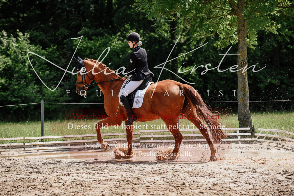 DSC_1573 | Pferde- und Turnierfotografie in Westsachsen. Pferdeportraits, Auftragszeichnungen und intuitive Kunst.