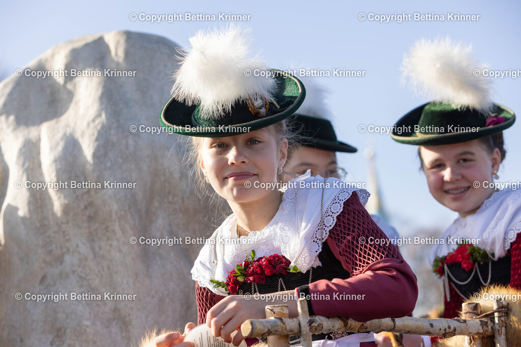 LBT24-1054 | foto-bettina-krinner - Realisiert mit Pictrs.com