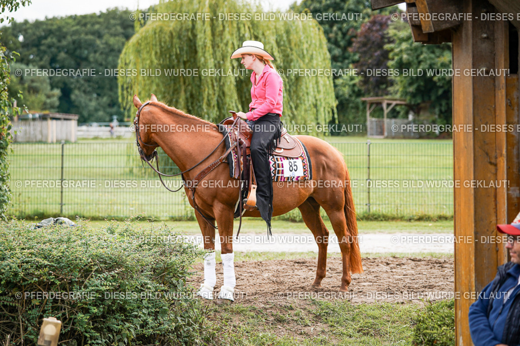 DSC08397 | Pferdegrafie