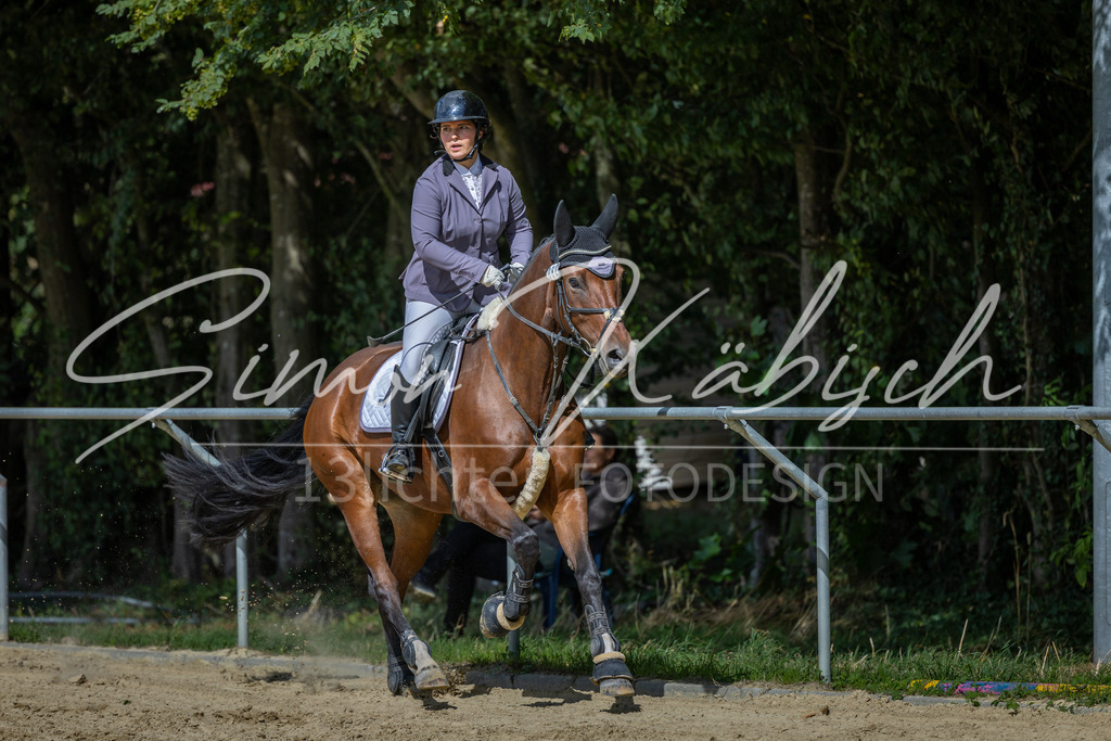 20260905-_3LI8782 | Tierfotografie Pferde, Hunde, Katzen, Haustiere.
Turnierfotografie Reitturniere, Reiten, Springreiten, Dressur in Hanau, dem Main-Kinzig-Kreis und dem Rhein-Main- Gebiet um Frankfurt