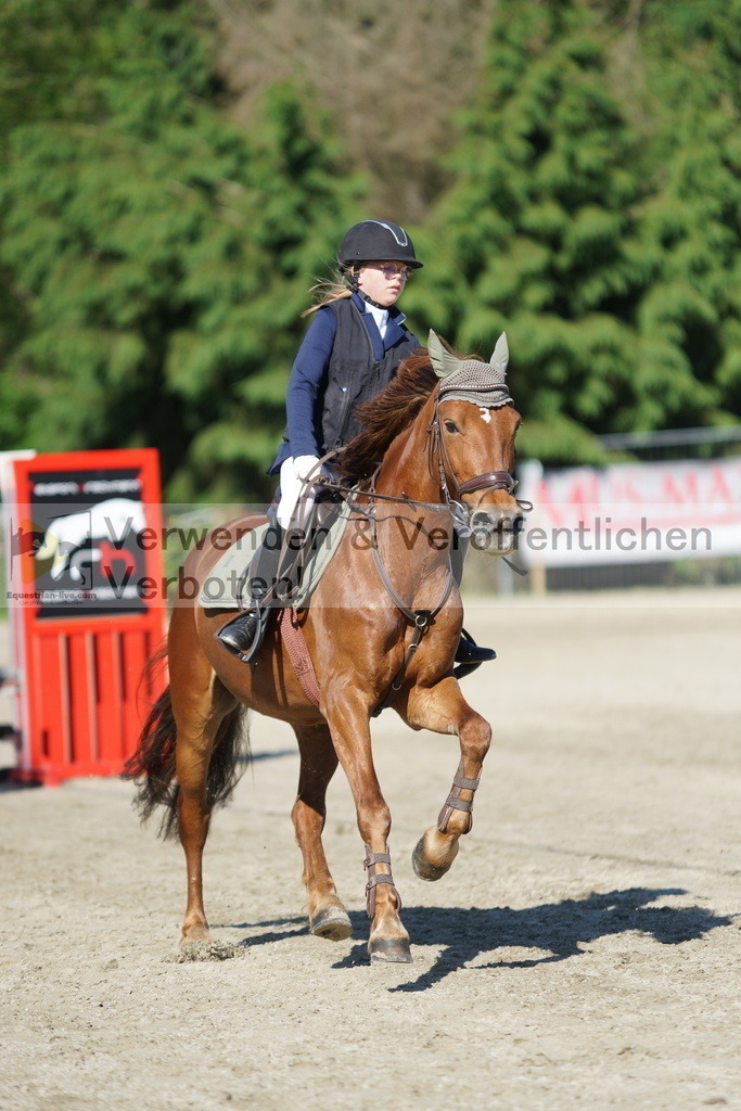 DSC06017 | equestrian-live-com