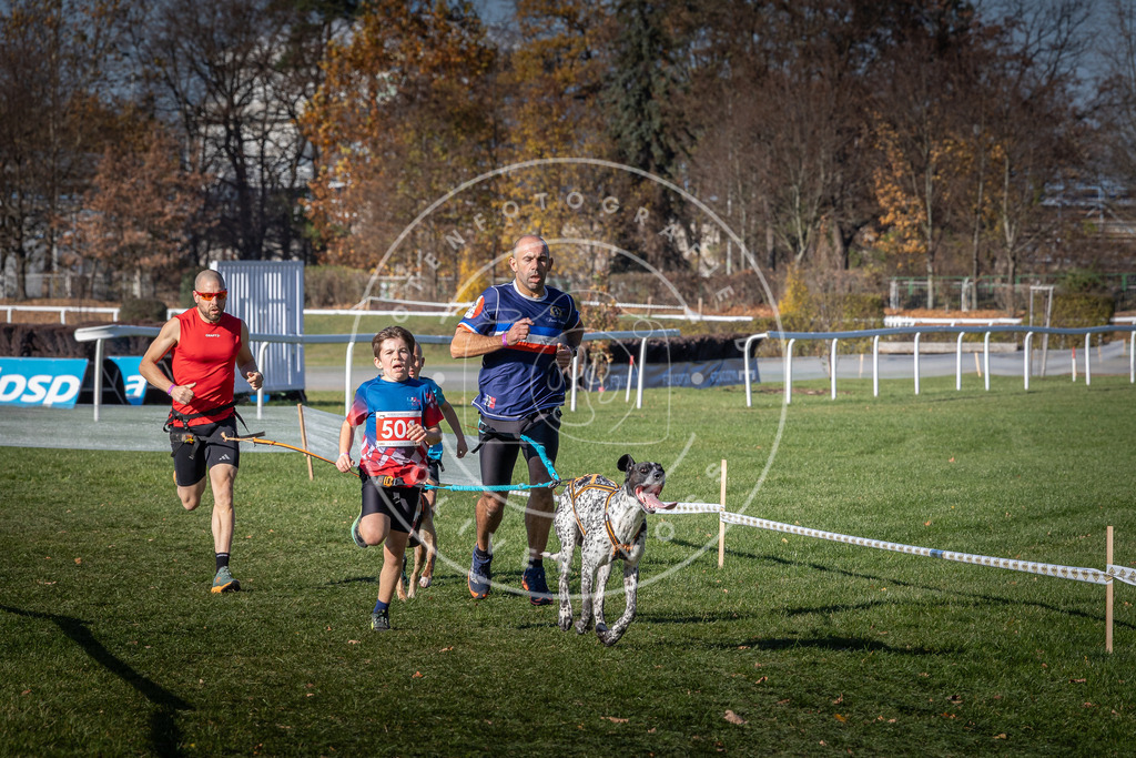 CaniXpix_0L8A6540 | Hundefotografie, Tierfotograf, Pfotenfotografie, Fotoshooting Hund, Hunde Portrait, Hundesport, Hundeportraits, Heideshooting, Hunde, Sportfotograf, Hundefotograf, Turnierhundsport, THS,  - Realisiert mit Pictrs.com