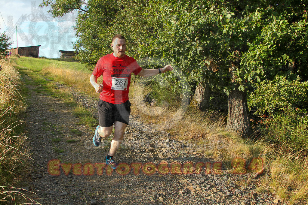 250801_1921_EV4_8569 | Sportfotografie im Rhein-Sieg Kreis, Köln, Bonn, NRW, Rheinland Pfalz, Hessen, etc. Unser Tätigkeitsfeld umfasst den Laufsport vom Volkslauf über den Marathon, Duathlon, Triathon bis zum Ultralauf wie Kölnpfad Ultra oder Schindertrail.