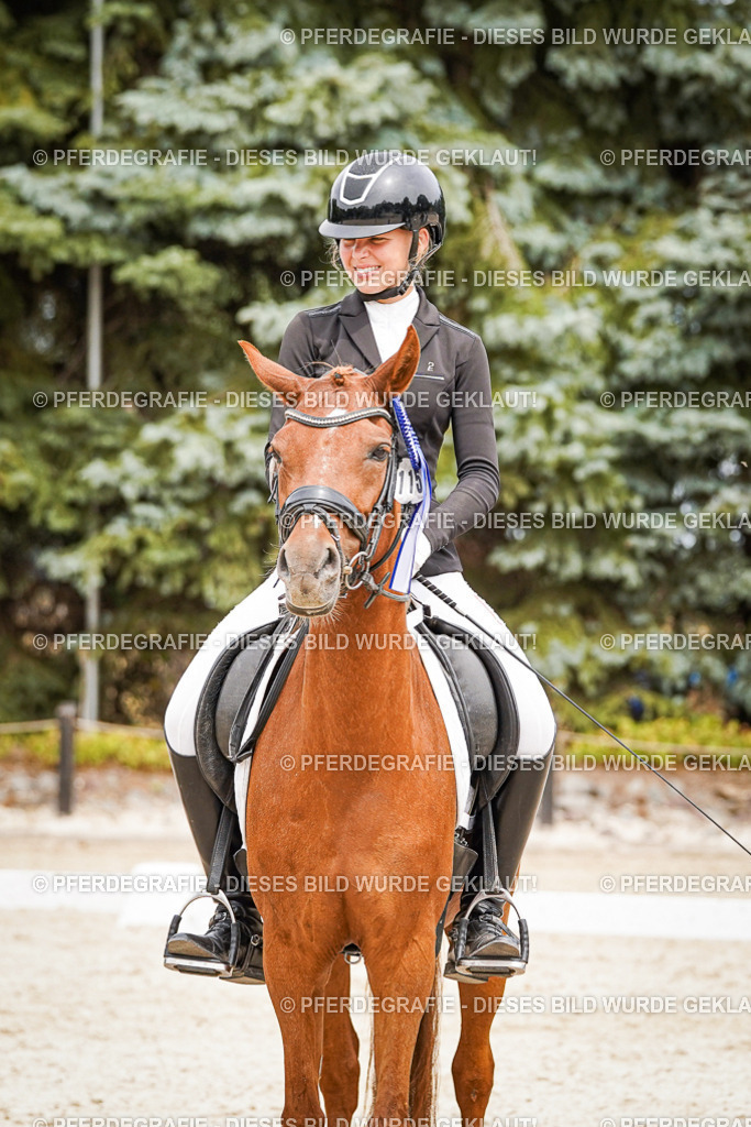 DSC04564 | Pferdegrafie