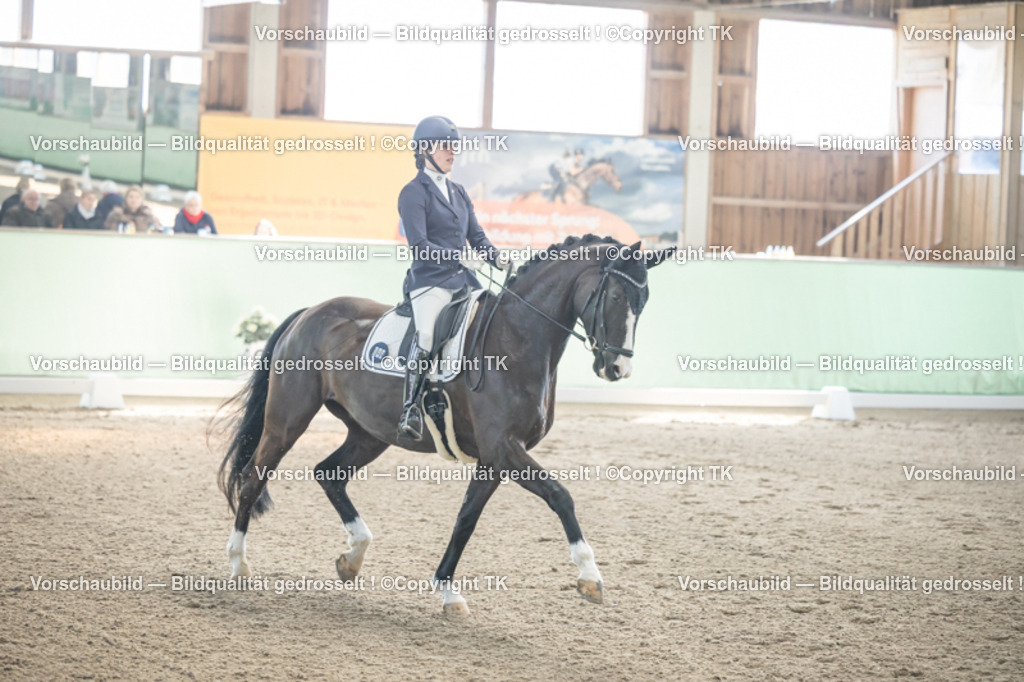 _D5A0666 | Emotionale Pferde- & People-Fotografie rund um Heidelberg, Leimen & Umgebung. Natürliche Fotos von Pferd, Mensch & Familie. Jetzt Termin sichern!