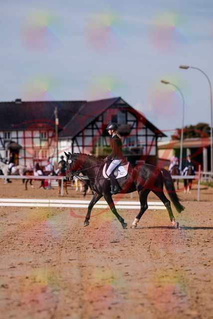 2026_10_03_Siefer-Hof_115442_Z81_94331575 | Professionelle Reitsport-, Turnier- und Eventfotografie von Robert Broda. Galerien mit ausgewählten und bearbeiteten Bildern direkt online ansehen und bestellen.