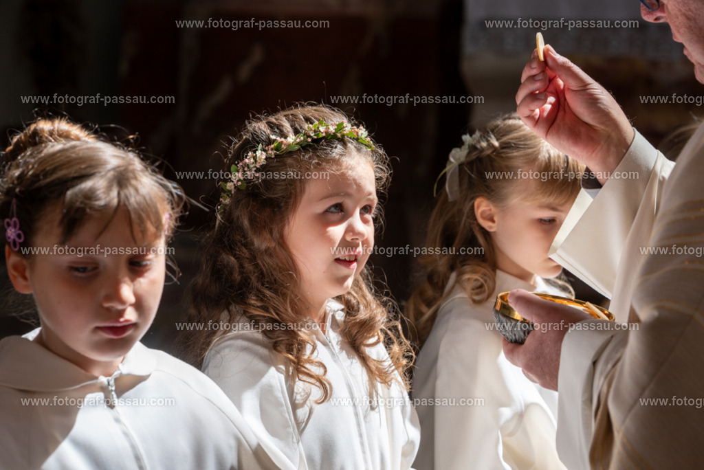 _DSC2729 | Hier finden Sie die Online Foto-Galerie von fotograf-passau.com und marius-handrugan.de. Suchen Sie sich direkt Ihre Lieblingsbilder aus, ob als Ausdruck oder Download. - Realisiert mit Pictrs.com