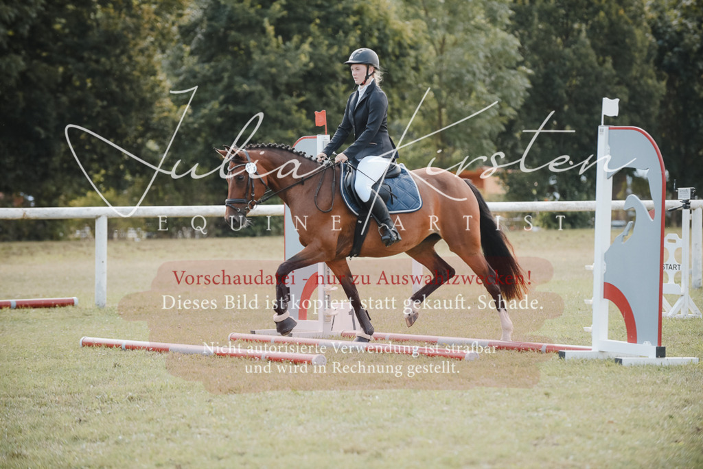 DSC_5327 | Pferde- und Turnierfotografie in Westsachsen. Pferdeportraits, Auftragszeichnungen und intuitive Kunst.
