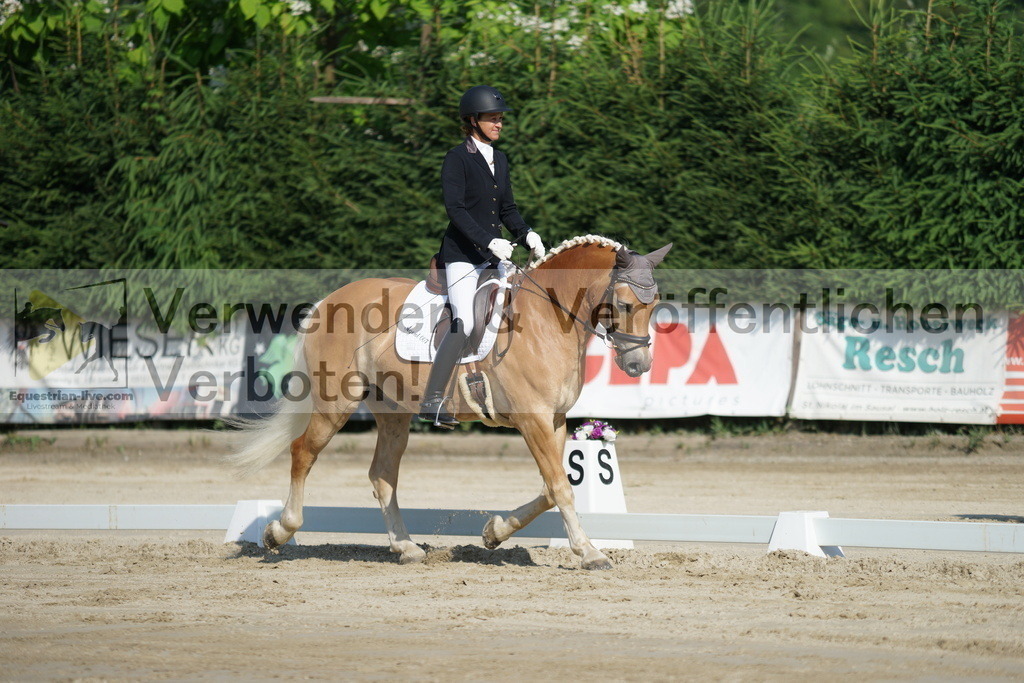 DSC01334 | equestrian-live-com