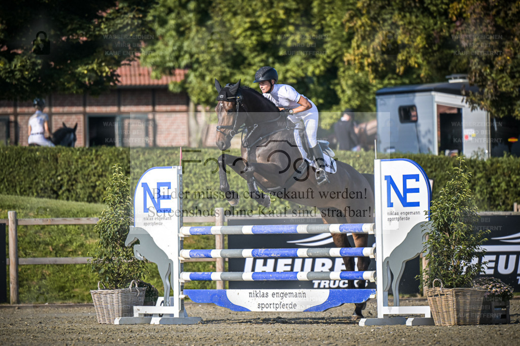 DOS_1895 | Entdecke hochwertige Reitturnierfotos von Foto Oger. Professionell, emotional und authentisch – jetzt Lieblingsmomente im Shop bestellen. - Realisiert mit Pictrs.com
