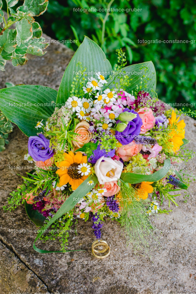 1010 | Fotografie Constance Gruber - Realisiert mit Pictrs.com