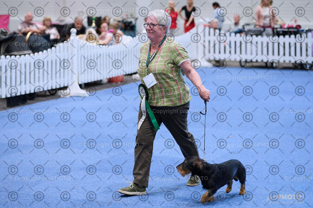 202406_ÖKV-IHA-Tulln24_DSC_3902 | proPHOTO - Realisiert mit Pictrs.com