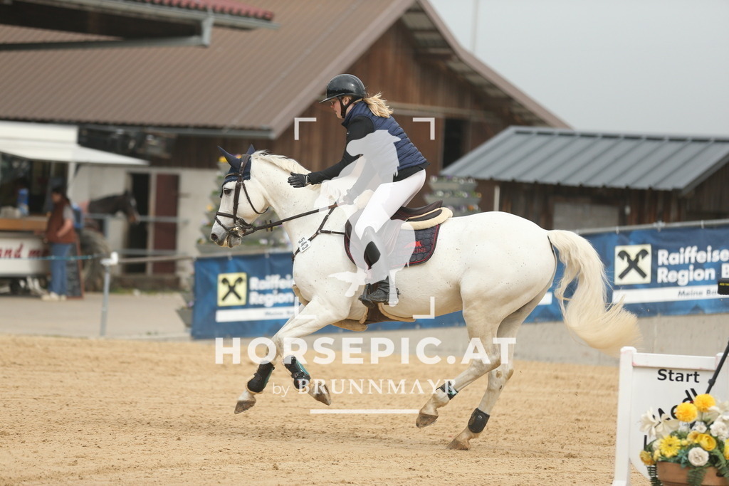 AS8V9490 | Willkommen bei Brunnmayr - Design & Fotografie – Ihrem Spezialisten für Reitturniere und Pferdeveranstaltungen in Oberösterreich, Salzburg und Bayern! Seit über 17 Jahren sind wir leidenschaftlich dabei.