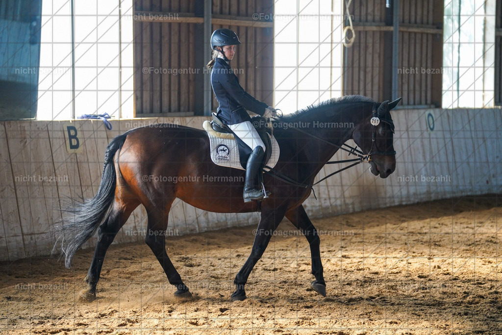 20230916-FAH08663 | Landsberg am Lech 2023, Turnierbildern, Turnierbilder Bayern, Reitsportfotograf, Pferdefotograf Bayern, Turnierfotos Landsberg, Fotoagentur Herrmann, Turnierfotografen Bayern