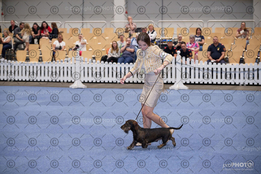 202406_ÖKV-IHA-Tulln24_NZ9_7831 | proPHOTO - Realisiert mit Pictrs.com