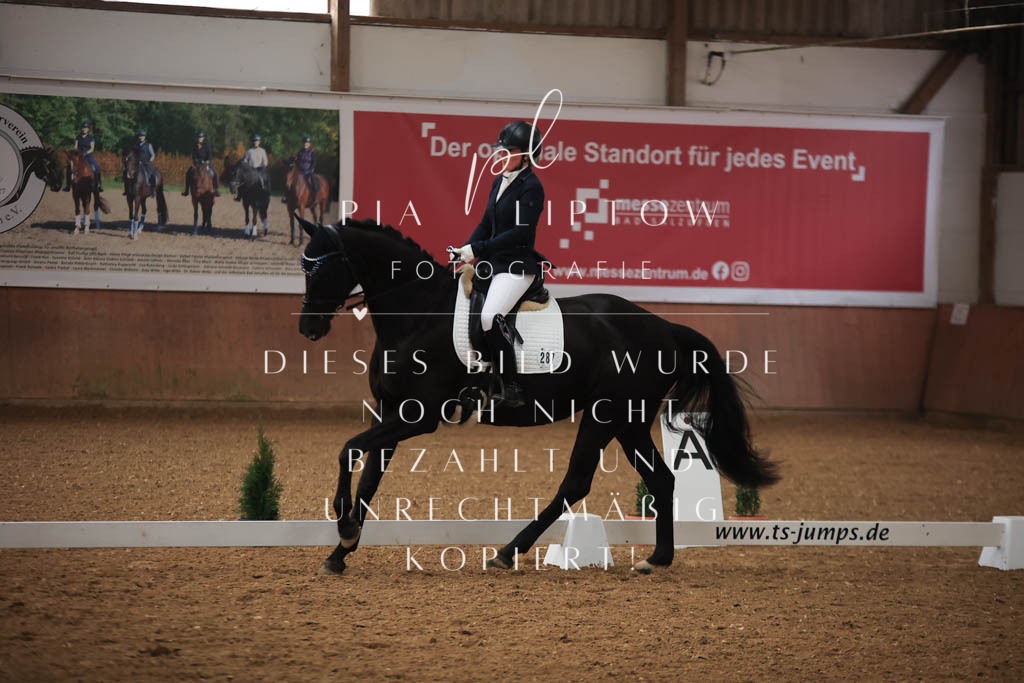 IMGT6936 | pl-fotografie