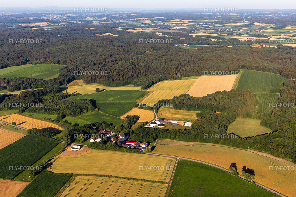 Dittenkofen www.mamming.de | Luftbild: Dittenkofen www.mamming.de im Ortsteil Dittenkofen in Mamming im Bundesland Bayern in Deutschland. Foto: IMG_132792.jpg vom 02.07.2022 durch ©2025 Werner Riehm fly-foto.de/copyright - Realisiert mit Pictrs.com