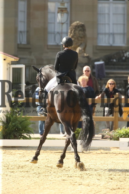 Ludwigsburg_2022_Prfg.Nr.03_FEI Grand Prix_Anna-Christina Abbelen_Sam Donnerhall (4) | Alle Fotos der Reiterjournal Fotografin Doris Matthaes im Reiterjournal Online-Fotoshop. - Realizado com Pictrs.com