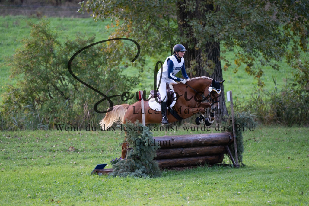 A7V02991 | Pferdefotograf