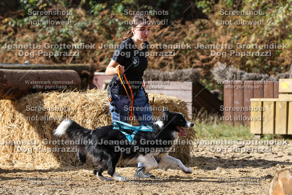 Dog Paparazzi - Strongdog 10-25-4965 | Dog Paparazzi Jeanette Grottendiek Fotografie & Videografie - Realisiert mit Pictrs.com