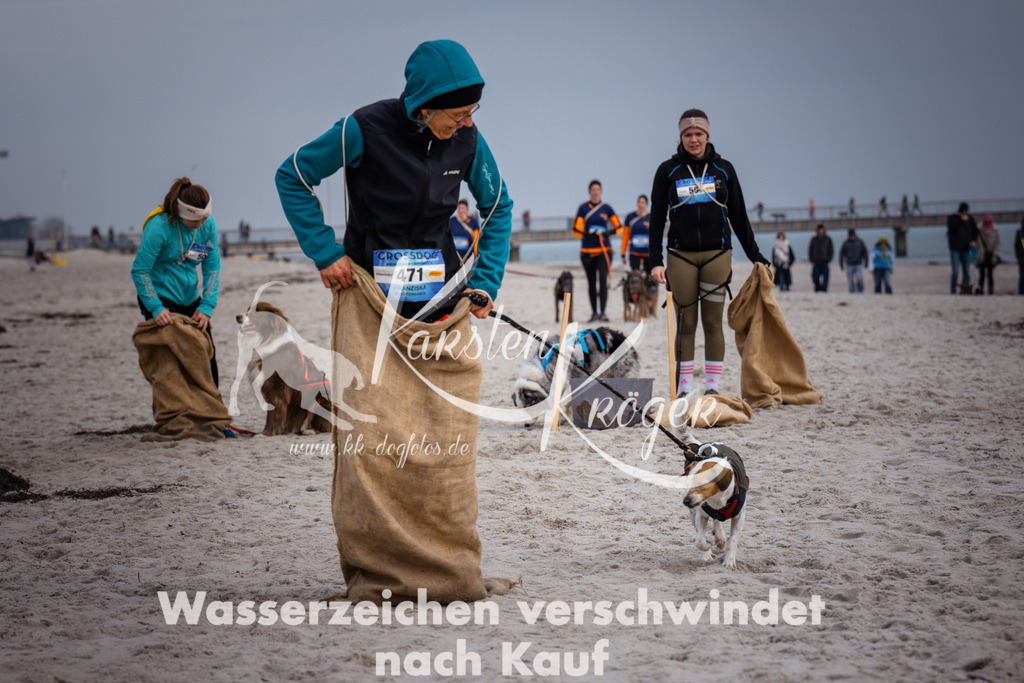 1254_ZZ96903 | kk-dogfotos
