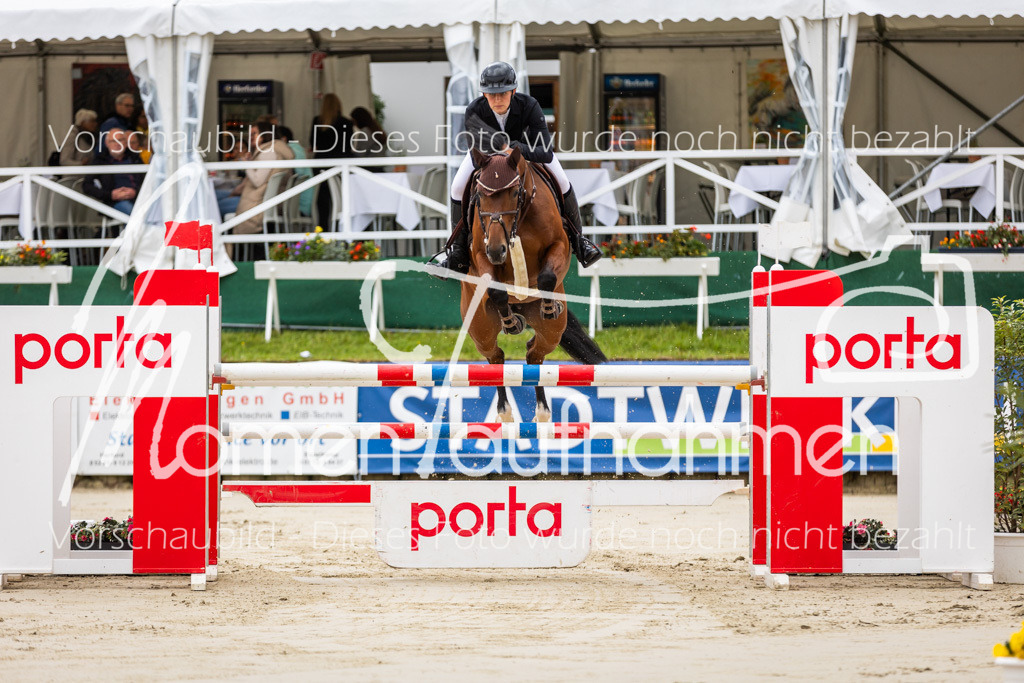 BHO-2PhSpr-M-5-2184 | MomenTaufnahmen Pferdesportfotos