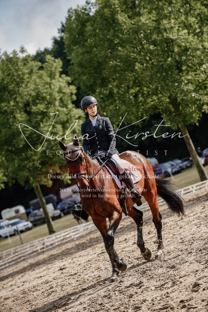 DSC_8630 | Pferde- und Turnierfotografie in Westsachsen. Pferdeportraits, Auftragszeichnungen und intuitive Kunst.