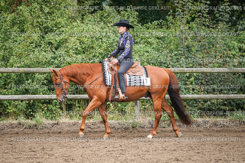 DSC01851 | Pferdegrafie