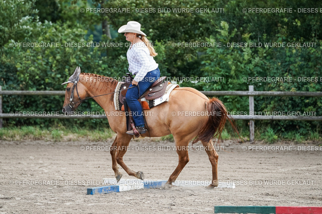 DSC05912 | Pferdegrafie