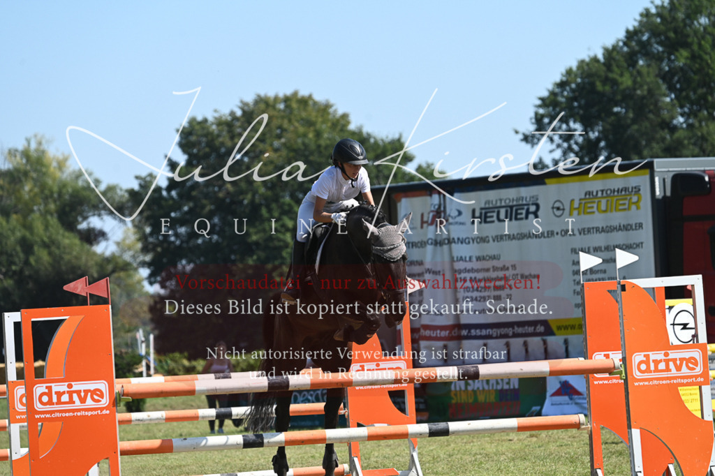 DSC_6379 | Pferde- und Turnierfotografie in Westsachsen. Pferdeportraits, Auftragszeichnungen und intuitive Kunst.