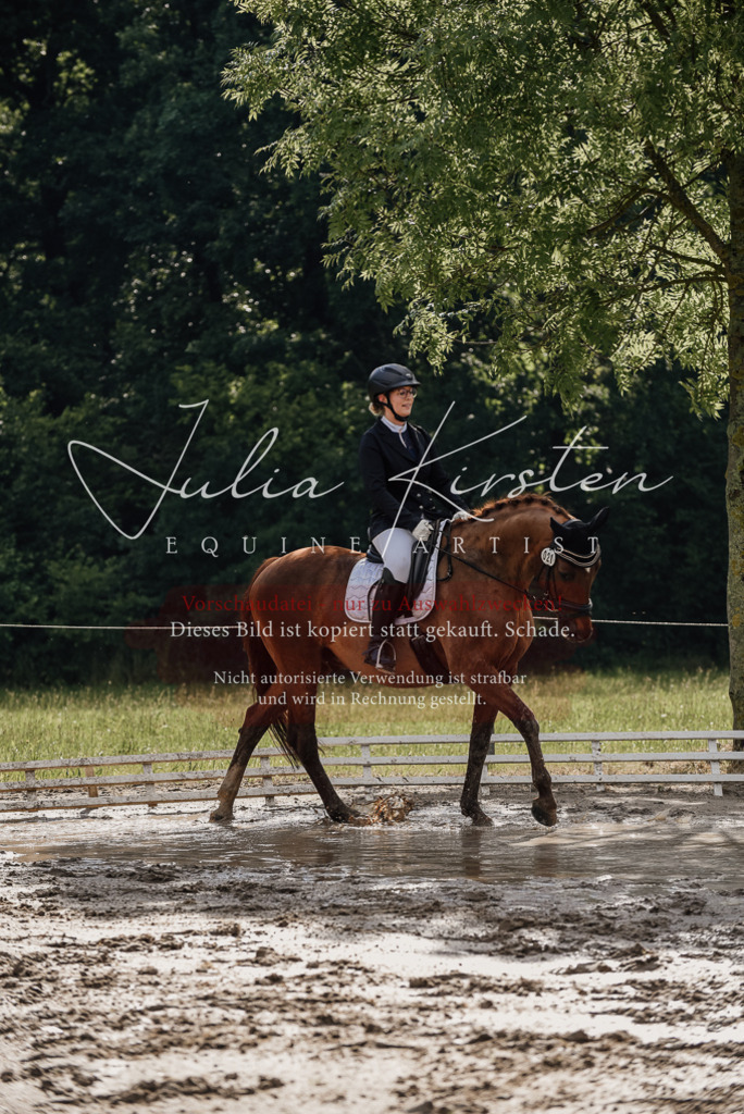 DSC_8872 | Pferde- und Turnierfotografie in Westsachsen. Pferdeportraits, Auftragszeichnungen und intuitive Kunst.