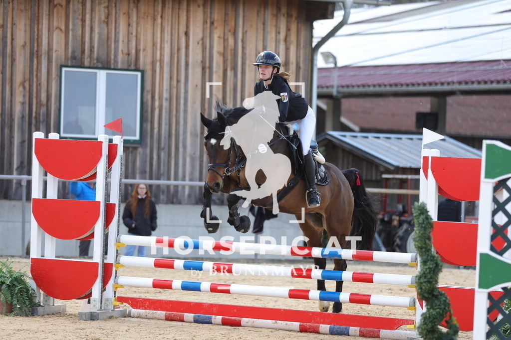 0P6A7475 | Willkommen bei Brunnmayr - Design & Fotografie – Ihrem Spezialisten für Reitturniere und Pferdeveranstaltungen in Oberösterreich, Salzburg und Bayern! Seit über 17 Jahren sind wir leidenschaftlich dabei.