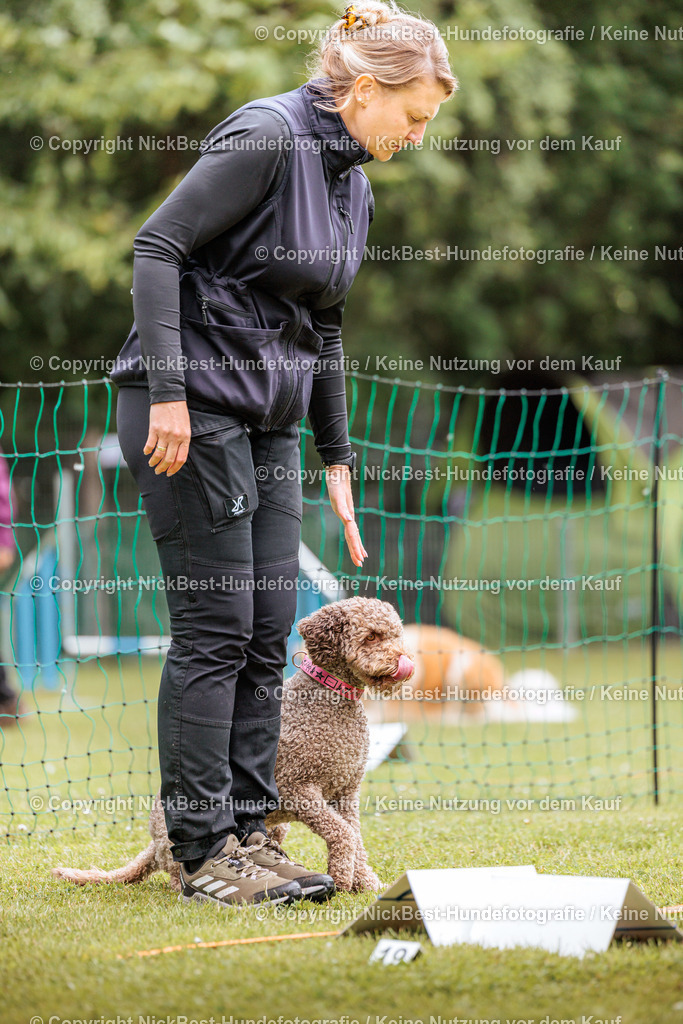 RO-Blumenthal-2026-Nickbest-Hundefotografie-2021 | Dein Hund! Dein Moment! Deine Erinnerungen! Hundefotografie in Bremen Blumenthal. Ich fange die besonderen Momente deines Vierbeiners ein – ob Indoor mit Blitzanlage oder in der freien Natur. Sicher dir dein Moment und dein Termin für eure Erinnerungen.
