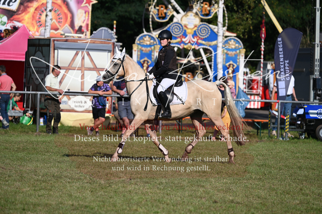 DSC_5027 | Pferde- und Turnierfotografie in Westsachsen. Pferdeportraits, Auftragszeichnungen und intuitive Kunst.